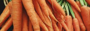 I LOVE CARROTS! Here are 10 Fun Facts about them